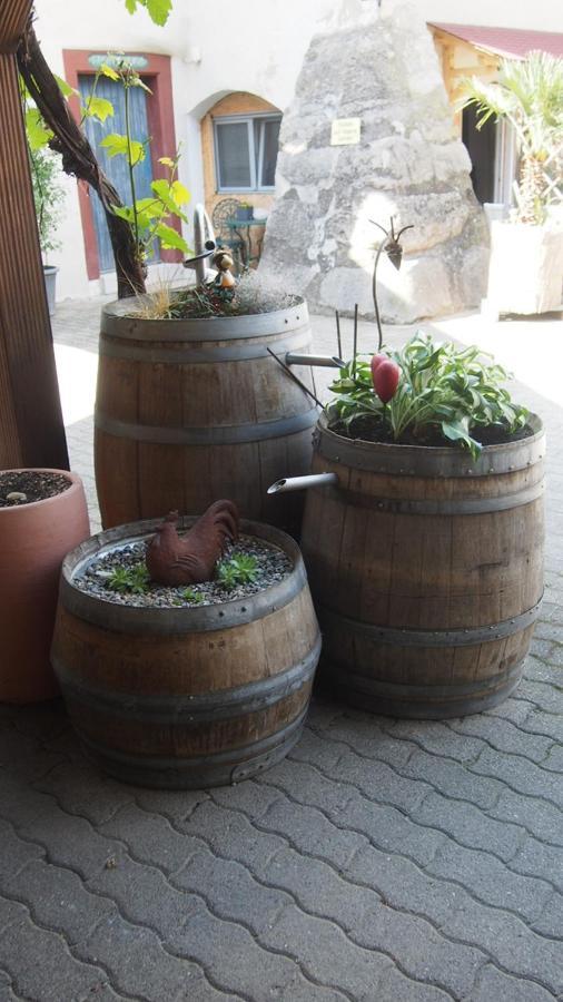 Zum Schwanen Garni Buggingen Exterior foto